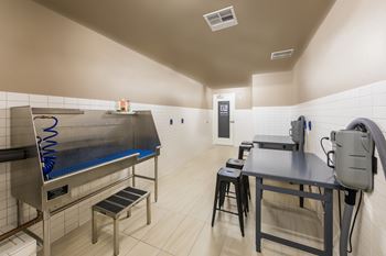 On-site dog wash suite